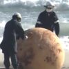 Massive ball found at Japan beach,