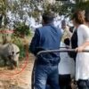 Jungle safari jeep attacked by rhinoceros