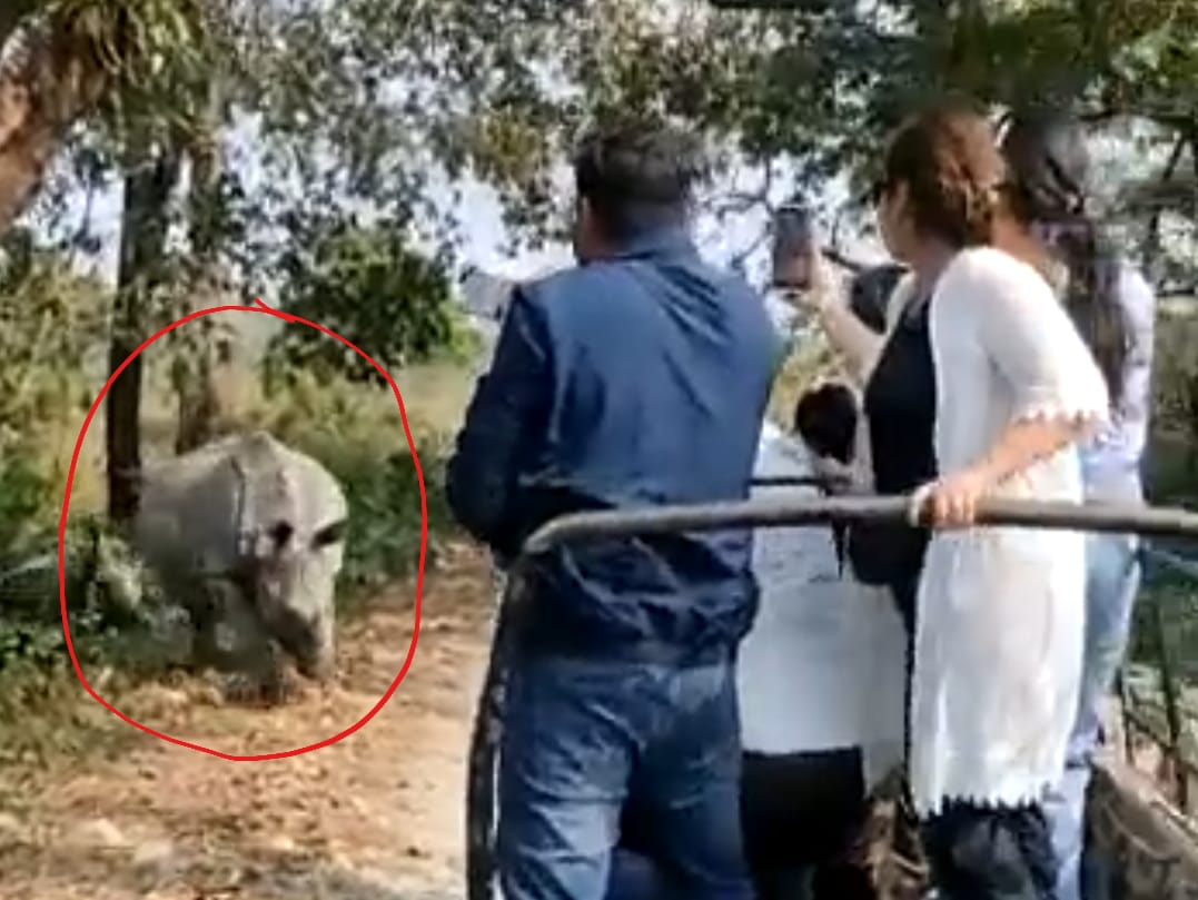 Jungle safari jeep attacked by rhinoceros