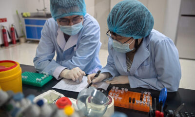 Covid-19 Virus origin research study