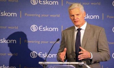 Eskom CEO never took any minister's name