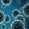 H3N2 virus death reported today