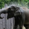 Thailand authority has issued record breaking heat warning
