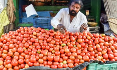 Tomato prices may hike in Bengaluru