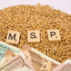 Kharif crops MSP hike approved by The Union cabinet