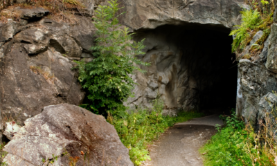 All about secret tunnel of Delhi's Siri Fort