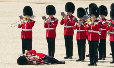 British royal guards collapse at Horse Guards Parade