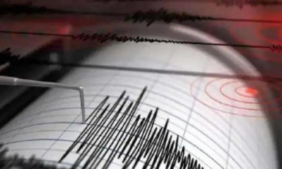 Delhi-NCR Earthquake, No casualties