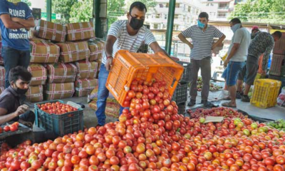 Tomato price in Vizag