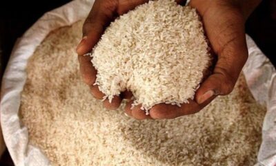 India bans rice exports