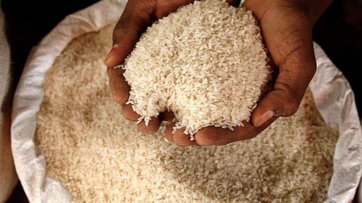 India bans rice exports