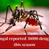 Over 38000 dengue cases were reported this season in West Bengal through September 20