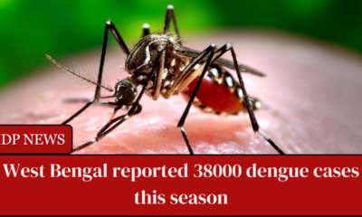 Over 38000 dengue cases were reported this season in West Bengal through September 20