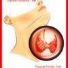 thyroid function test Indian daily post