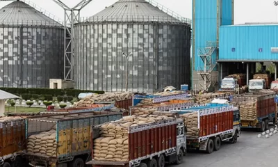 Besides procuring food grains at MSP, FCI is even responsible for maintaining food stocks and distributing the grains under different welfare systems.