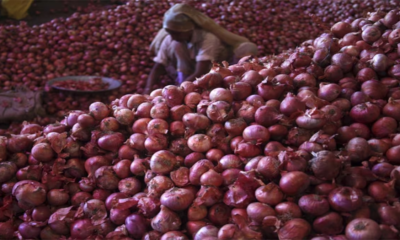 To control the price surge, the ban on onion export will remain in effect until March 31