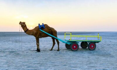 The Luna facility in Kutch in Gujarat is probably caused by a meteor that would have impacted the Indus Valley Civilisation.