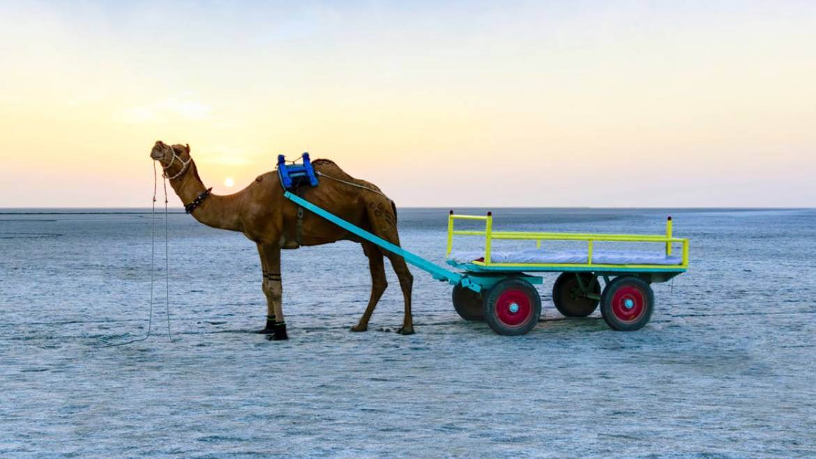 The Luna facility in Kutch in Gujarat is probably caused by a meteor that would have impacted the Indus Valley Civilisation.
