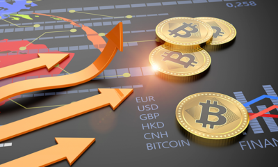 In the ever-changing world of cryptocurrencies, investors are always looking for the next big opportunity to profit.