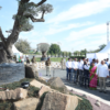 The Gujarat Chief Minister today opened the Bonsai Show, which is located on Sindhu Bhavan Road in Ahmedabad.