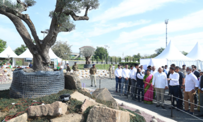 The Gujarat Chief Minister today opened the Bonsai Show, which is located on Sindhu Bhavan Road in Ahmedabad.