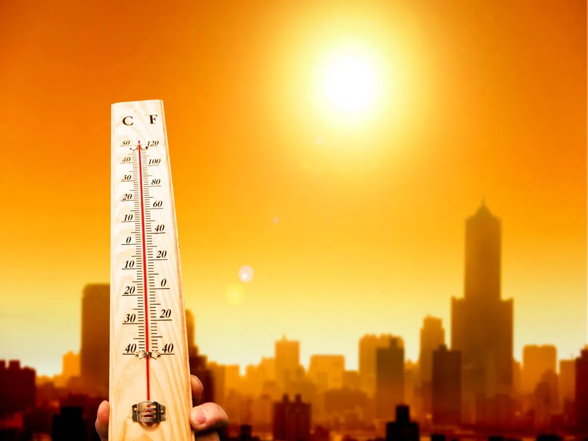 From red signals to stay off during peak heat hours to IMD signs of extreme heat waves in Gujarat to modifications in school timings to protect students from increasing temperatures.