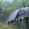 Rainfall in Gujarat: people eagerly anticipate relief from the searing heat as occasional rains graces.