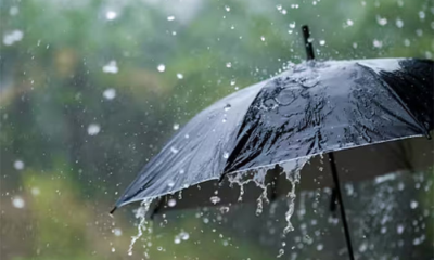 Rainfall in Gujarat: people eagerly anticipate relief from the searing heat as occasional rains graces.