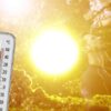 People see scorching summer heat across different areas as temperatures rocket past 41°C in multiple places in Gujarat.