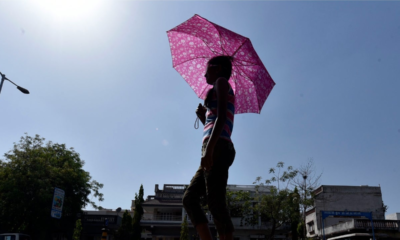 Ahmedabad had the second highest temperature in the state, at 43.1 degrees Celsius.
