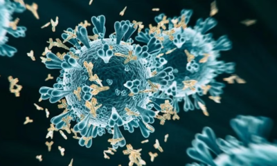 Six children have died in Gujarat from suspected Chandipura virus, which has afflicted around 12 persons in the state.