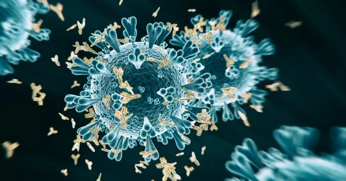 Six children have died in Gujarat from suspected Chandipura virus, which has afflicted around 12 persons in the state.