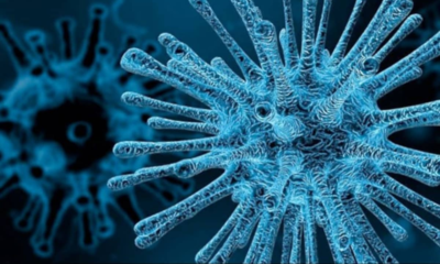 Six youngsters in Gujarat's Aaravalli area have perished in the last five days due to suspected Chandipura virus infections.