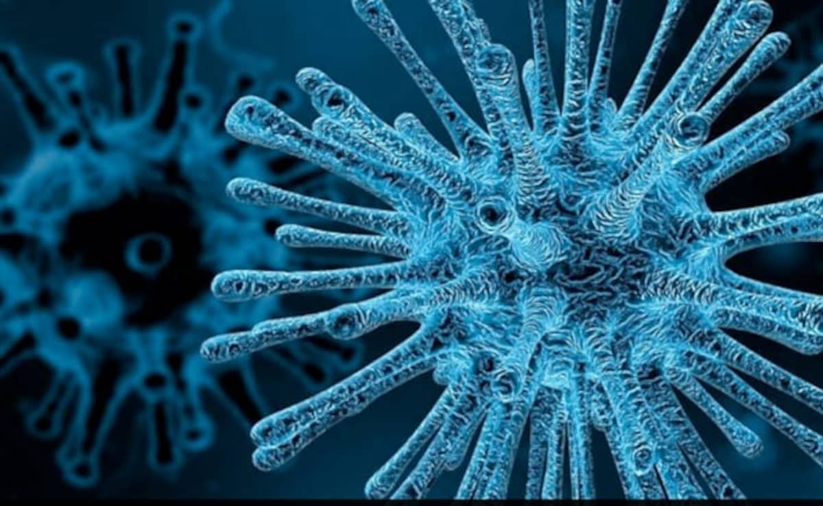 Six youngsters in Gujarat's Aaravalli area have perished in the last five days due to suspected Chandipura virus infections.