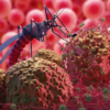 According to a recent bulletin, there have now been 37 confirmed cases of Chandipura Viral Encephalitis (CHPV) in Gujarat.