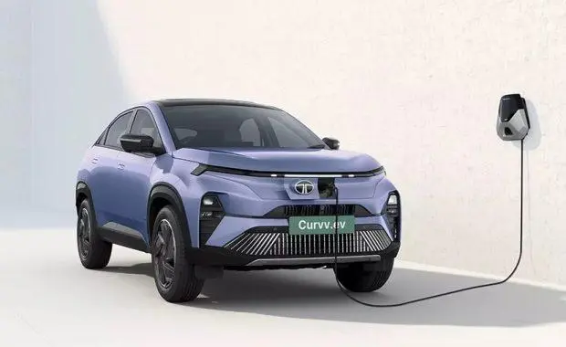 Tata Motors remains enthusiastic about the long-term potential of the electric vehicle (EV) category, despite a recent dip in sales.