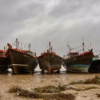 Fishing Ban: The Gujarat govt has decided to prolong the ban on fishing activity in the Arabian Sea