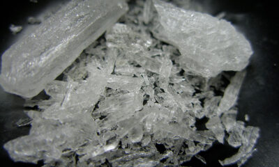 The district SOG and Surat police led these raids together. Drugs presumed to be illegal were sent to testing for confirmation.