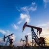 Oil prices: The Union Minister even mentioned that nations like Brazil and Guyana are expanding their oil production.