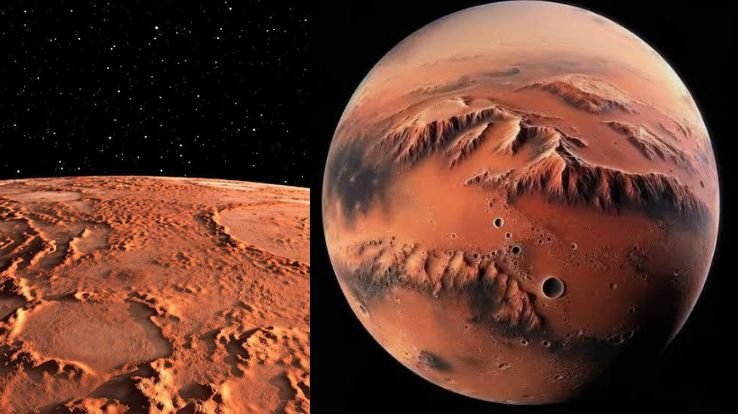 After more than 14 years of research, there's still something to be surprised by.
