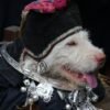 A centuries-old Miao tradition in Guizhou celebrates dogs as symbols of survival, gratitude, and harmony with nature.