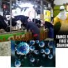 WHO probes transmission pathways and livestock risks.